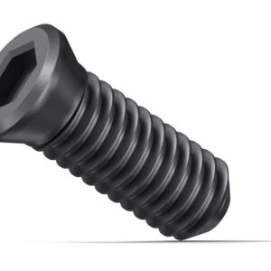 Fein Accessory KX CLAMPING SCREW For KX indexable tips pk10 (KFH 17) - (31350075000) - Image 1